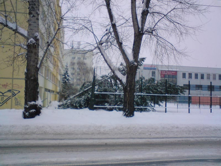 Branišovská (18.1.2013). Foto Jana Wein