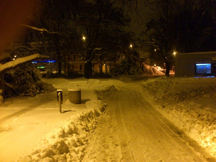 Budějce (17.1.2013). Foto Martin Míšek