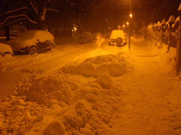 Budějce (17.1.2013). Foto Martin Míšek