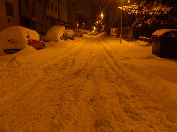 Budějce (17.1.2013). Foto Martin Míšek