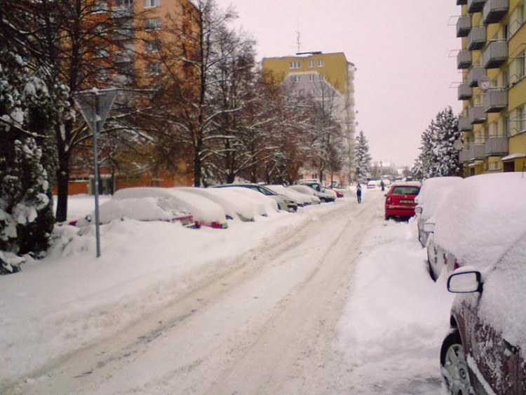 Budějce (18.1.2013). Foto Jana Wein
