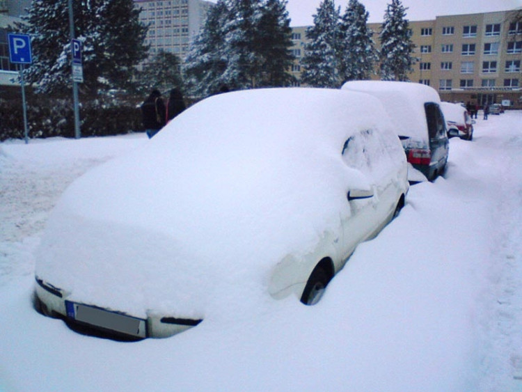 Před Jihočeskou univerzitou (18.1.2013). Foto Jana Wein