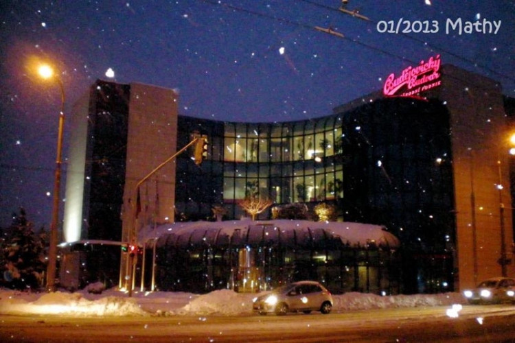 Budějovický Budvar (21.1.2013). Foto Marťa Vachová