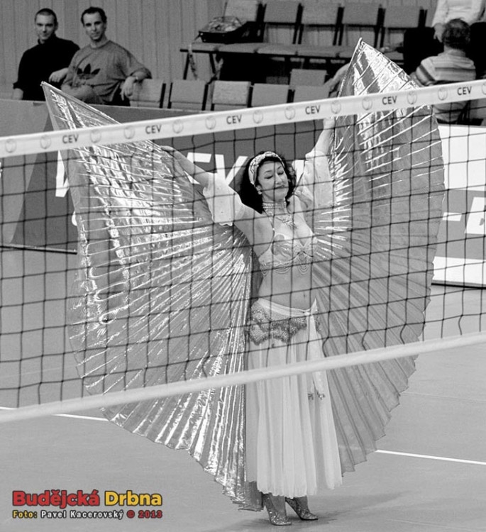 VK Jihostroj České Budějovice - Maliye Milli Piyango Ankara 1:3