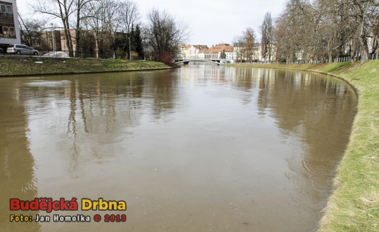 Hladina Malše v centru Budějovic