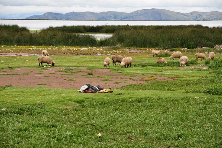 Studenti Jihočeské univerzity v Jižní Americe