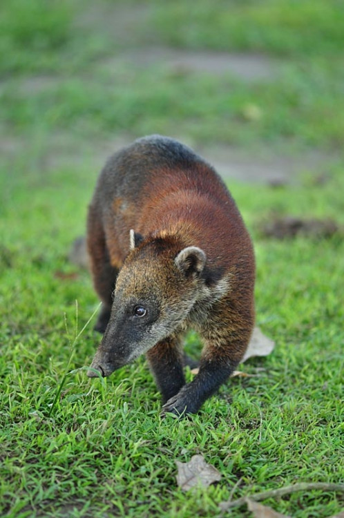 Studenti Jihočeské univerzity v Jižní Americe