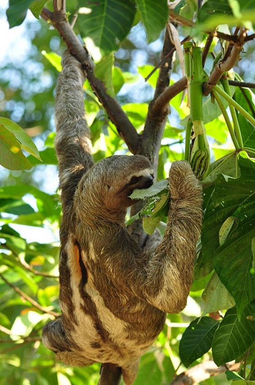 Studenti Jihočeské univerzity v Jižní Americe