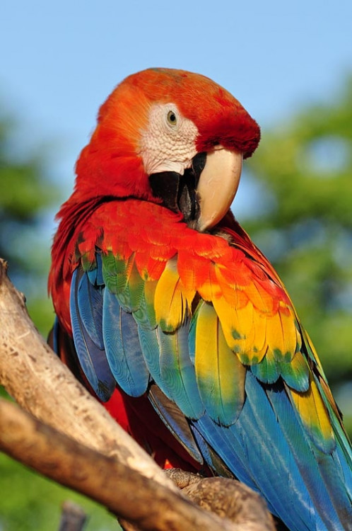 Studenti Jihočeské univerzity v Jižní Americe