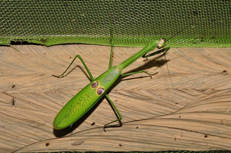 Studenti Jihočeské univerzity v Jižní Americe
