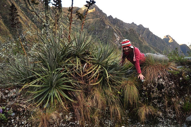 Studenti Jihočeské univerzity v Jižní Americe