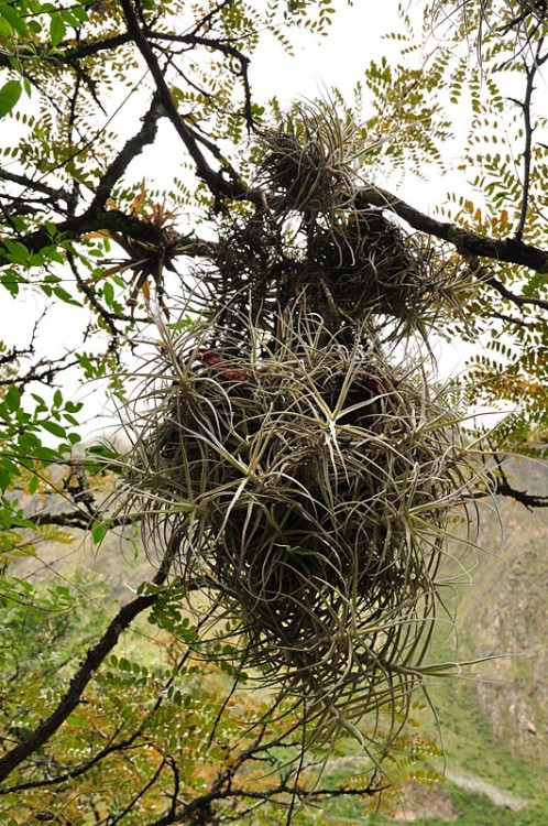 Studenti Jihočeské univerzity v Jižní Americe
