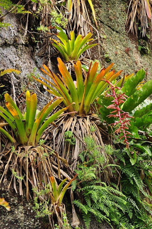 Studenti Jihočeské univerzity v Jižní Americe