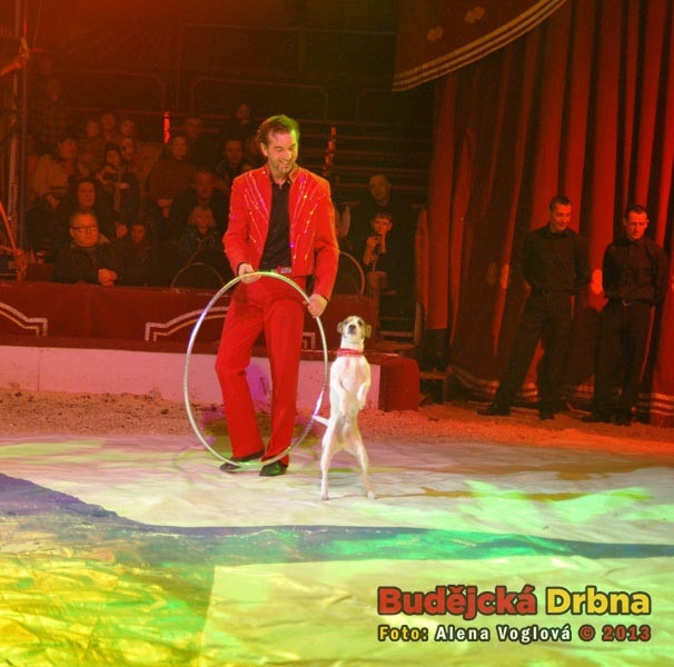 Jacky předváděl neuvěřitelné kousky