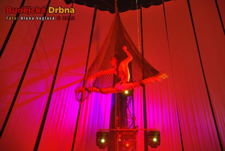 Laura při akrobacii v síti