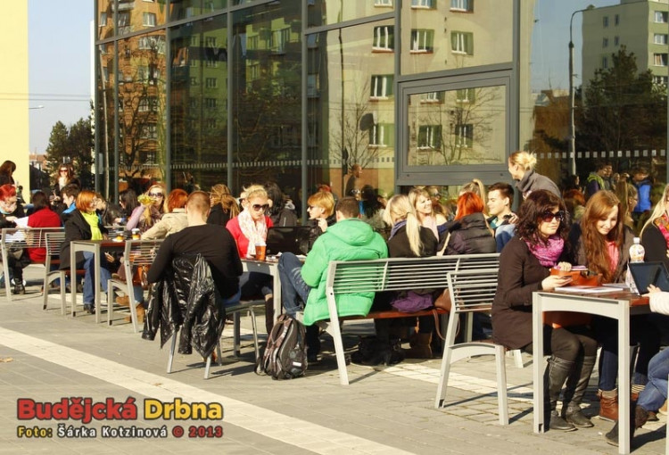 Harlem Shake studentů Jihočeské univerzity