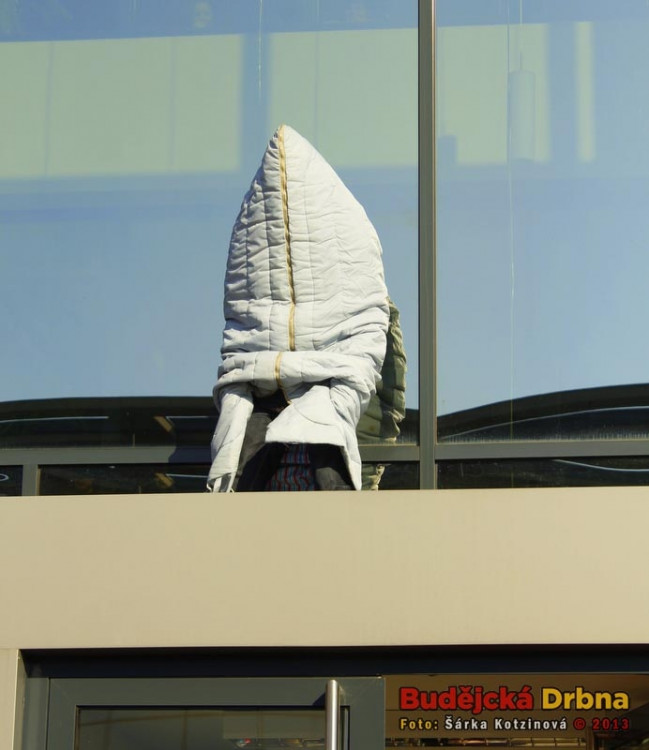 Harlem Shake studentů Jihočeské univerzity