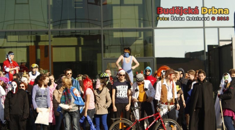 Harlem Shake studentů Jihočeské univerzity