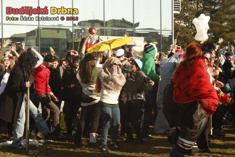 Harlem Shake studentů Jihočeské univerzity