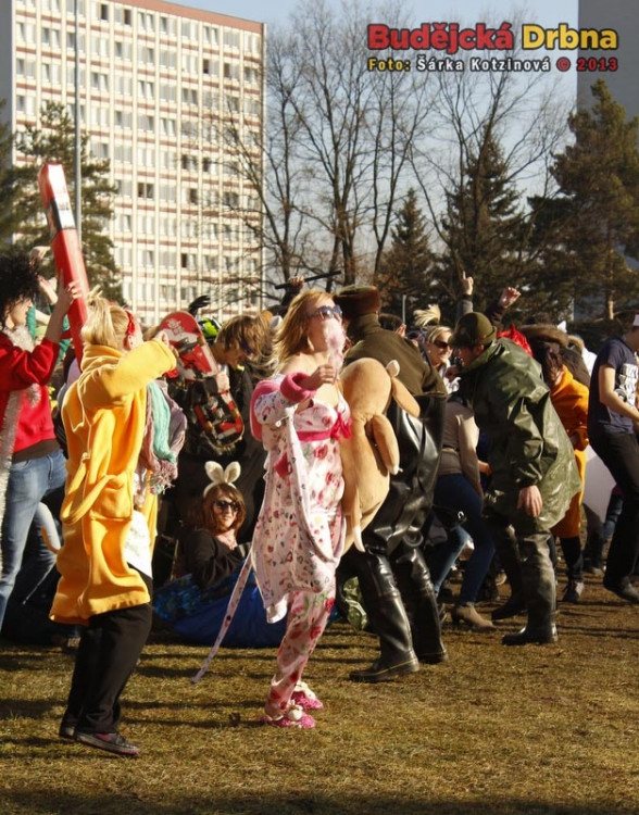 Harlem Shake studentů Jihočeské univerzity