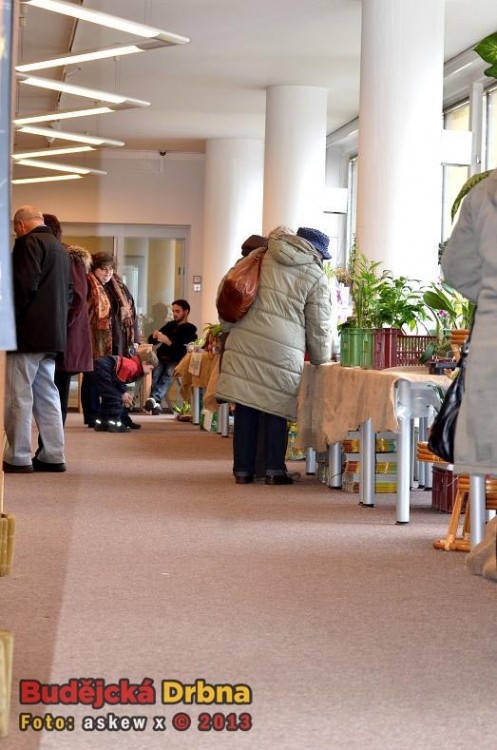 Prodejní výstava orchidejí v DK Metropol