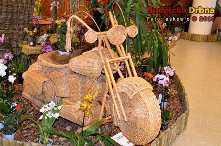 Prodejní výstava orchidejí v DK Metropol