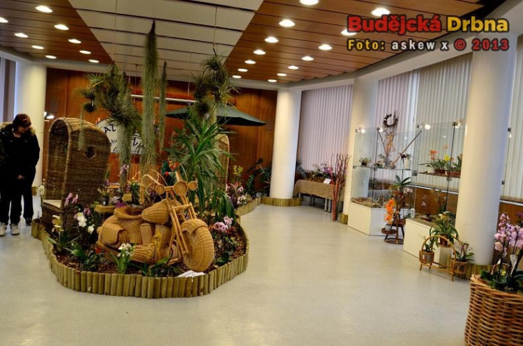 Prodejní výstava orchidejí v DK Metropol