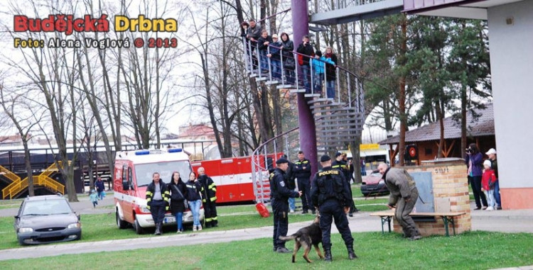 Zadržení pachatele pomocí psa