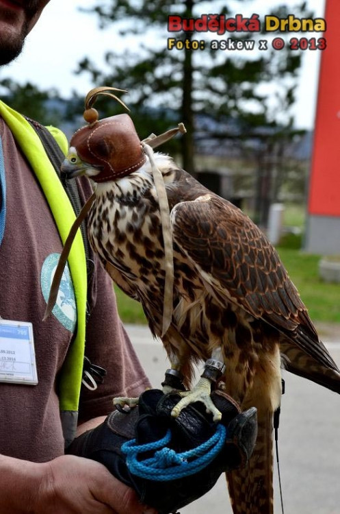 Letiště České Budějovice