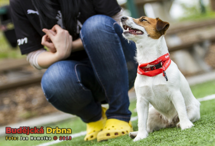 E.ON Junior Cup 2013 - Hluboká nad Vltavou