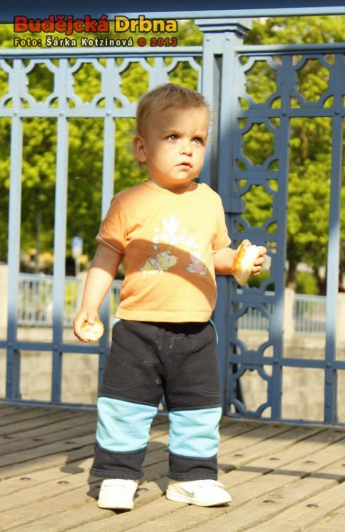 Piknik na Zlatém mostě