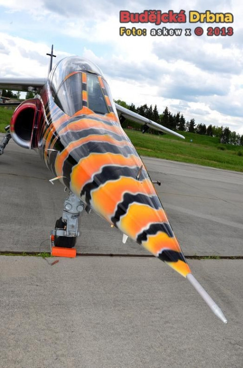 Trénink Flying Bulls leteckého týmu Red Bullu