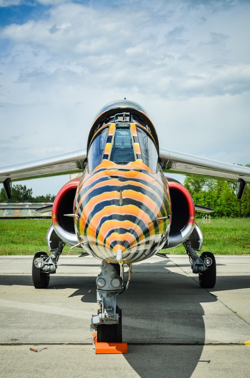 Trénink Flying Bulls leteckého týmu Red Bullu. Foto: Filip Masopust