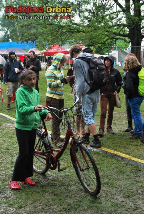 Majáles, festival pro všechny věkové skupiny