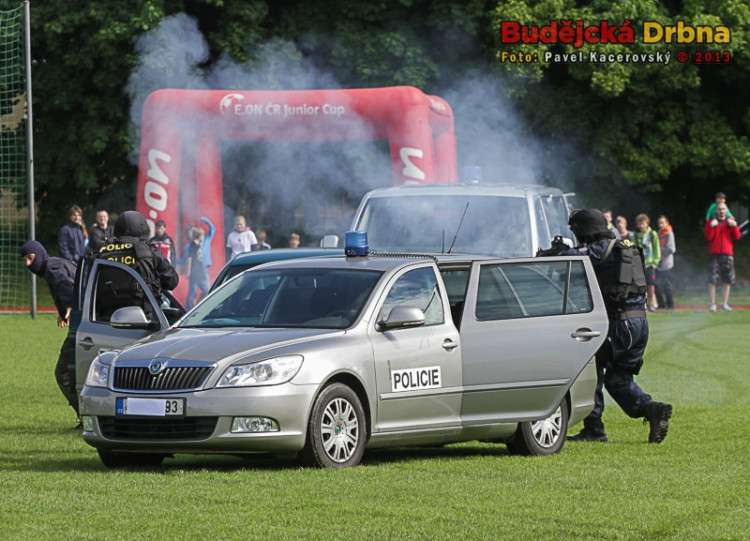 Den policie 2013