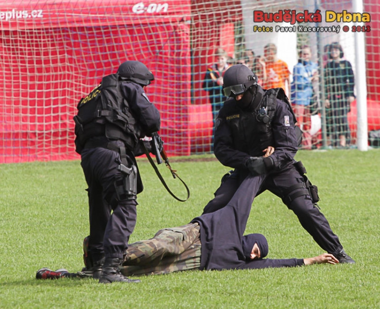 Den policie 2013