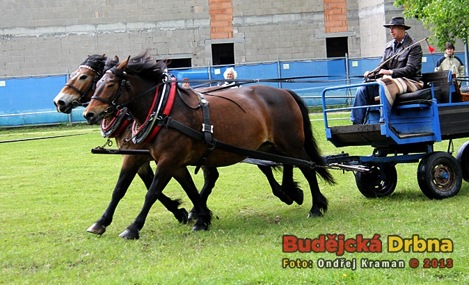Kvalifikační kolo Mistrovství České republiky v kombinovaných soutěžích chladnokrevných koní