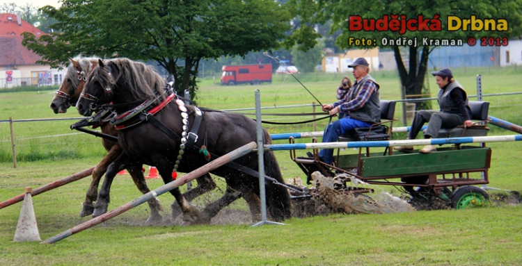 Kvalifikační kolo Mistrovství České republiky v kombinovaných soutěžích chladnokrevných koní