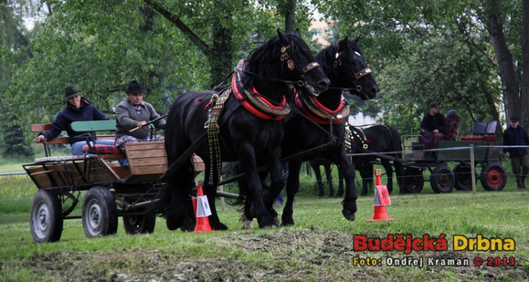 Kvalifikační kolo Mistrovství České republiky v kombinovaných soutěžích chladnokrevných koní