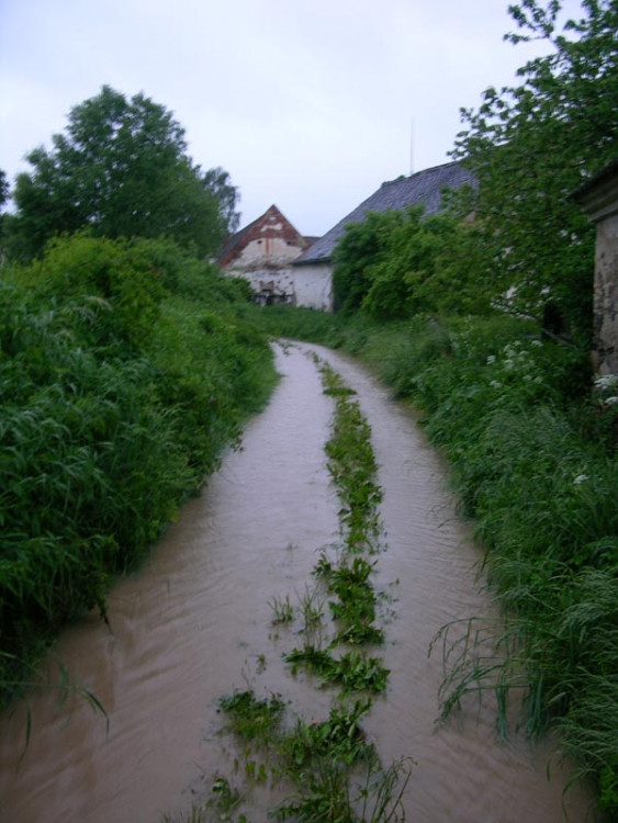 Svinětice. Foto Petr Hynek