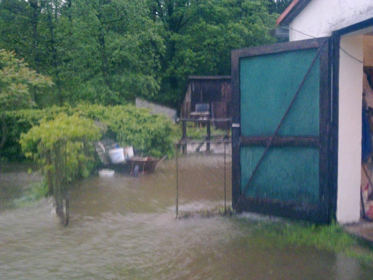 Rychnov u Nových Hradů. Foto Marcela Malovcová