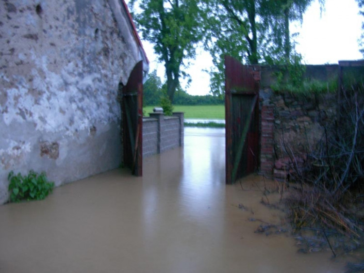 Svinětice. Foto Petr Hynek