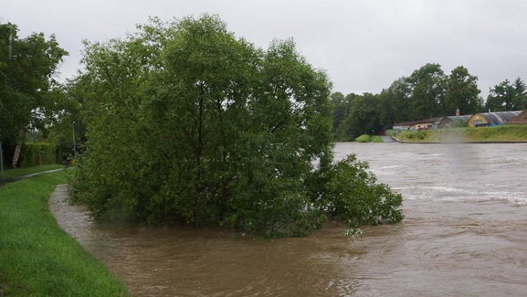 Foto Jakub Matoušek