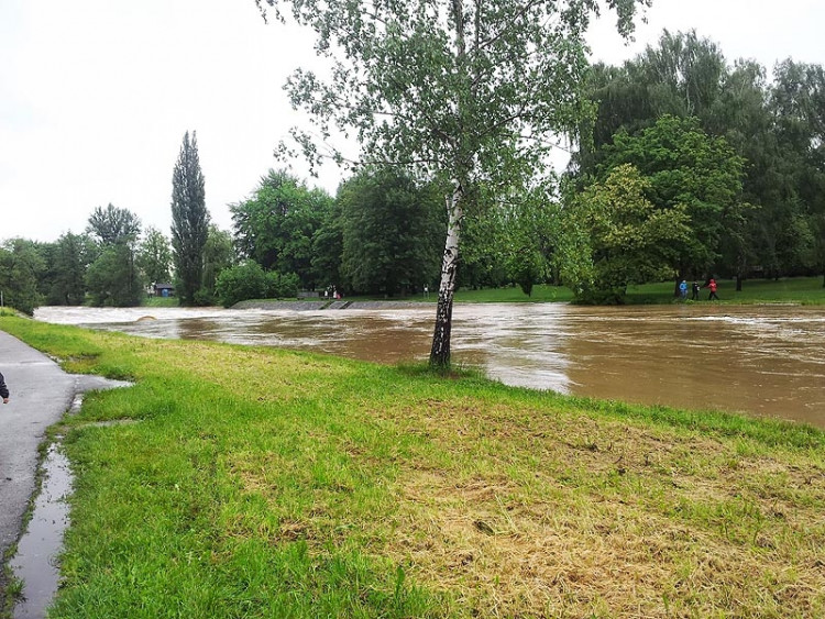 Malák. Foto Jiří Prechtl
