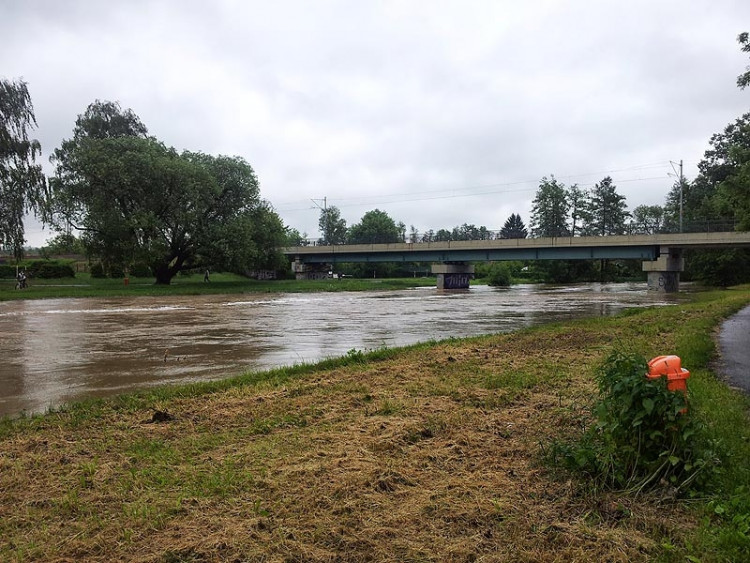 Malák. Foto Jiří Prechtl