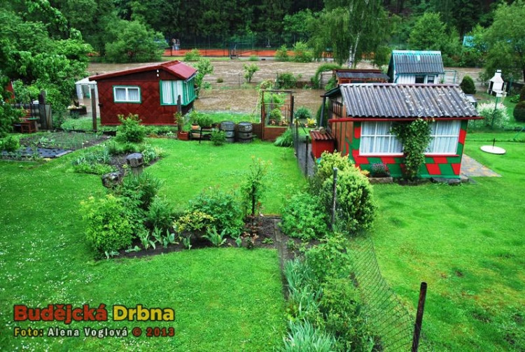 Zahrádky okolo Malše v Kaplici jsou vytopené