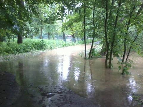 Silnice v zahrádkářské kolonii a ke koupališti U Špačků v Mladém. Foto Lenka Adamová