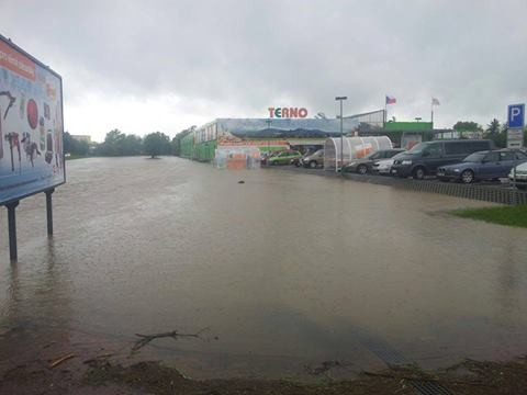 Terno. Foto Michal Janda