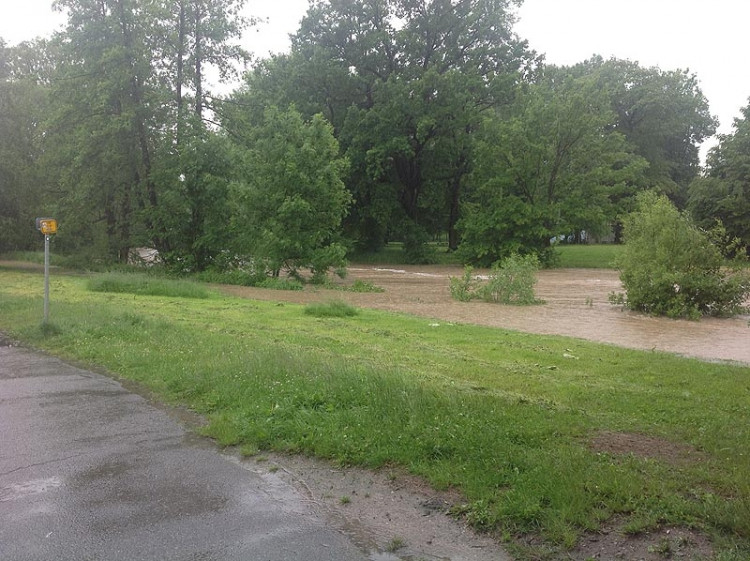 Malák. Foto Jakub Chán