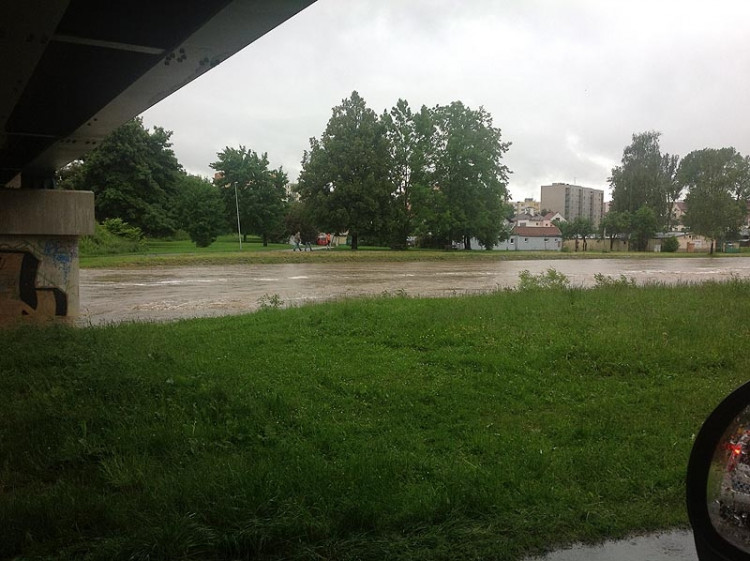 Malák. Foto Jakub Chán